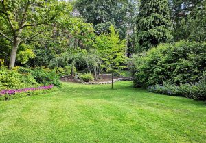 Optimiser l'expérience du jardin à Bousseraucourt